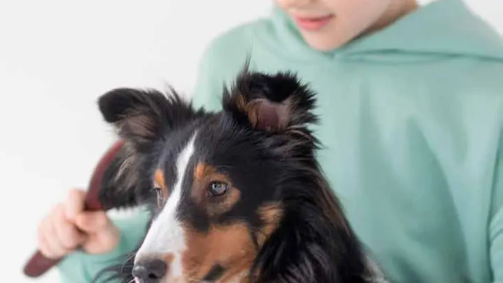 Menino abraçado ao seu cachorro